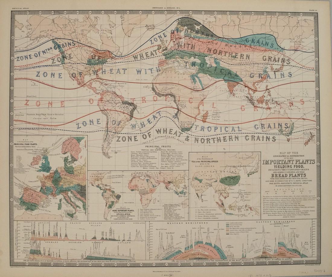 1854 Johnston Map of Important Plant Distribution (1 of 1)