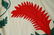 1880's Red & Green Princess Feather Applique - 11