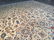 STUNNING ANTIQUE PERSIAN KASHAN RUG 8'.2"x11'.6" - 5