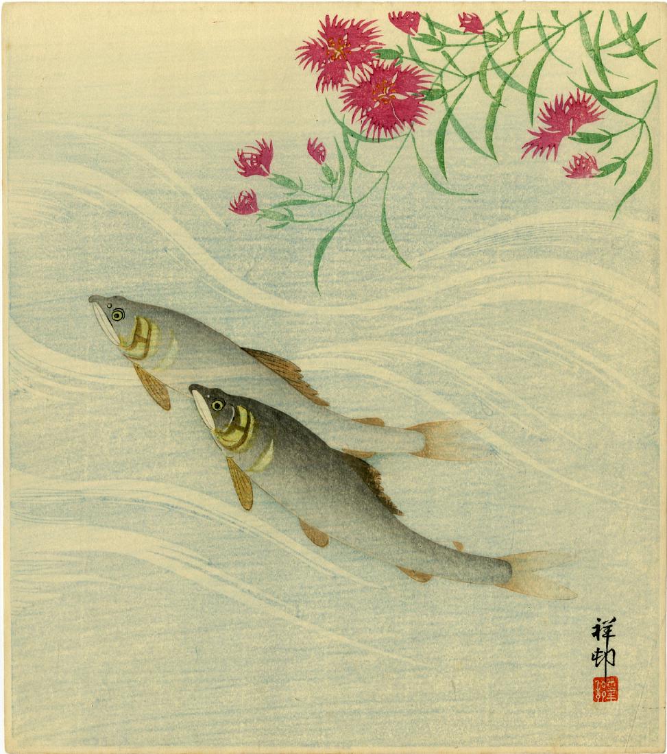 Koson Ohara: Trout and Aquatic Plants 1930 Woodblock: Japanese Woodblock Print, c.1930s, published by Hasegawa/Nishinomiya SIZE IN INCHES: ohosoban, 8.25 x 14.5 inches PROVENANCE: from the estate of Robert O. Muller OHARA KOSON (1877-1945), who also went