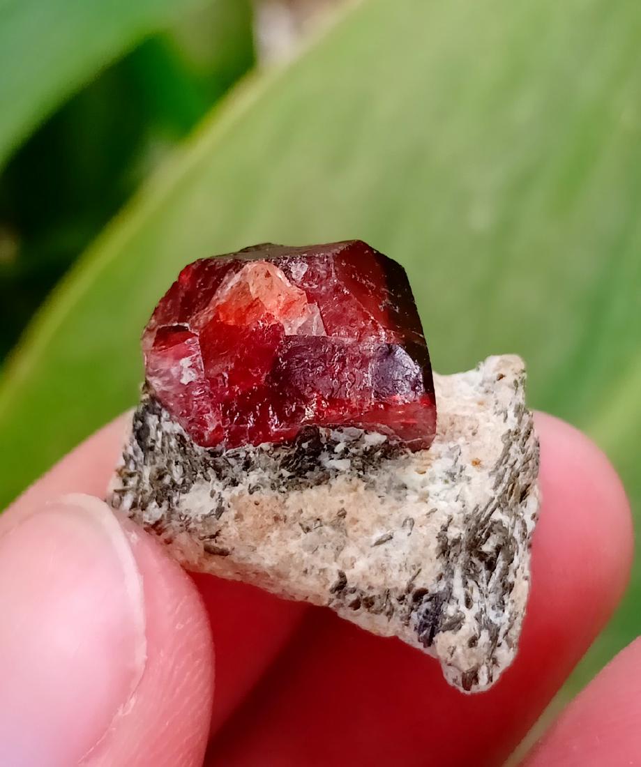 8 Gram Amazing Natural Zircon Specimen: Title: 8 Gram Amazing Natural Zircon Specimen Treatment: Natural Gemstones: Zircon Weight: 8 Gram Size/Dimensions: 20x18x12 mm Origin: Pakistan Reserve: $20.00 Shipping: Domestic: Flat-rate of $