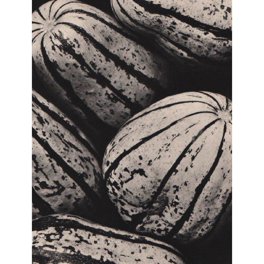 EDWARD WESTON - Gourds: Artist: EDWARD WESTON Print Title: Gourds Medium: Sheet-Fed Gravure Printing Date: 1930's Printed in France Image Size: 6.75 X 8.5 inches Edward Weston (1886-1958) was a 20th-century American photogra