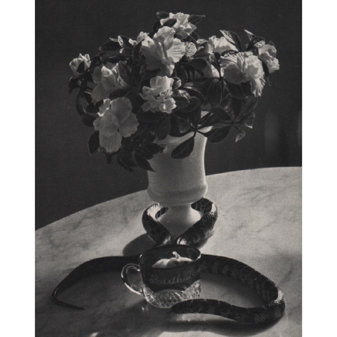 ANDRE KERTESZ - Still Life with Snake, 1960: No Reserve! Artist: ANDRE KERTESZ Print Title: Still Life with Snake, 1960 Medium: Sheet-Fed Gravure Printed in 1970's Printed in France Image size approx. 6.5 X 8.25 inches Andre Kertesz (1894-1985)