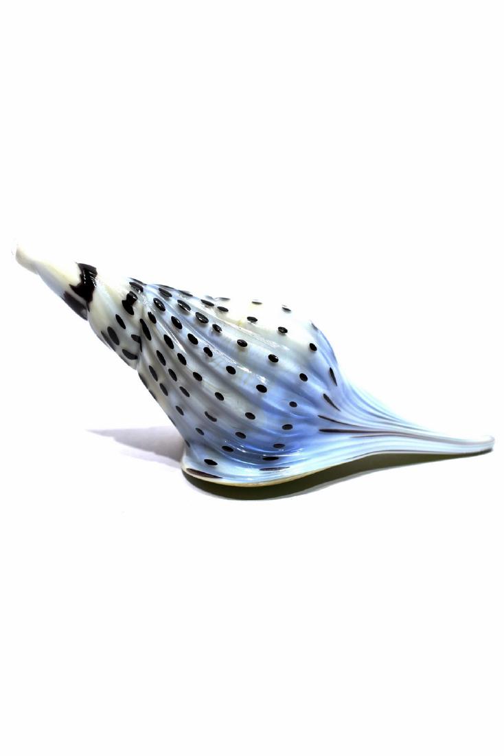 Murano Glass Sculpture " Seashell ": Title: Murano Glass Sculpture " Seashell " Maker: Frare Dario Origin: Murano Date/Period: 2017 Materials: Glass Size: 4x8,5 cm 30 grams Glass sculpture rapresenting a Seashell, made by glass master Da