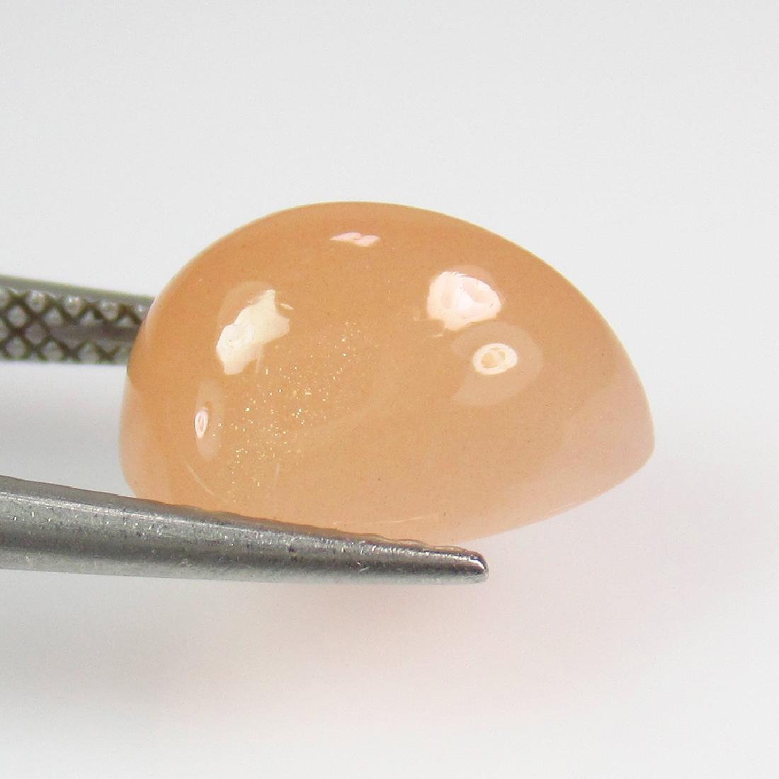 3.79 Ctw Natural Brown Moonstone 12X8 mm Pear Cab: No Reserve! Title: 3.79 Ctw Natural Brown Moonstone 12X8 mm Pear Cab Stone Clarity: Transparent Gemstones: Moonstone Carat Weights: 3.79 Size/Dimensions: 11.90 x 8.00 x 6.60 mm Additional Information: