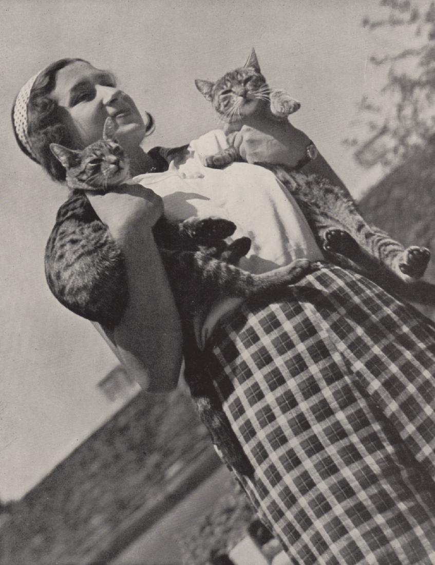 GEORGE RADO - July Morning with my cats: Artist: GEORGE RADO Print Title: July Morning with my cats Medium: Photoengraving Printed 1930’s in the U k Image size (inches) approx. 8.5 x 6.5” Reserve: $25.00 Shipping: Domestic: Flat-rate of