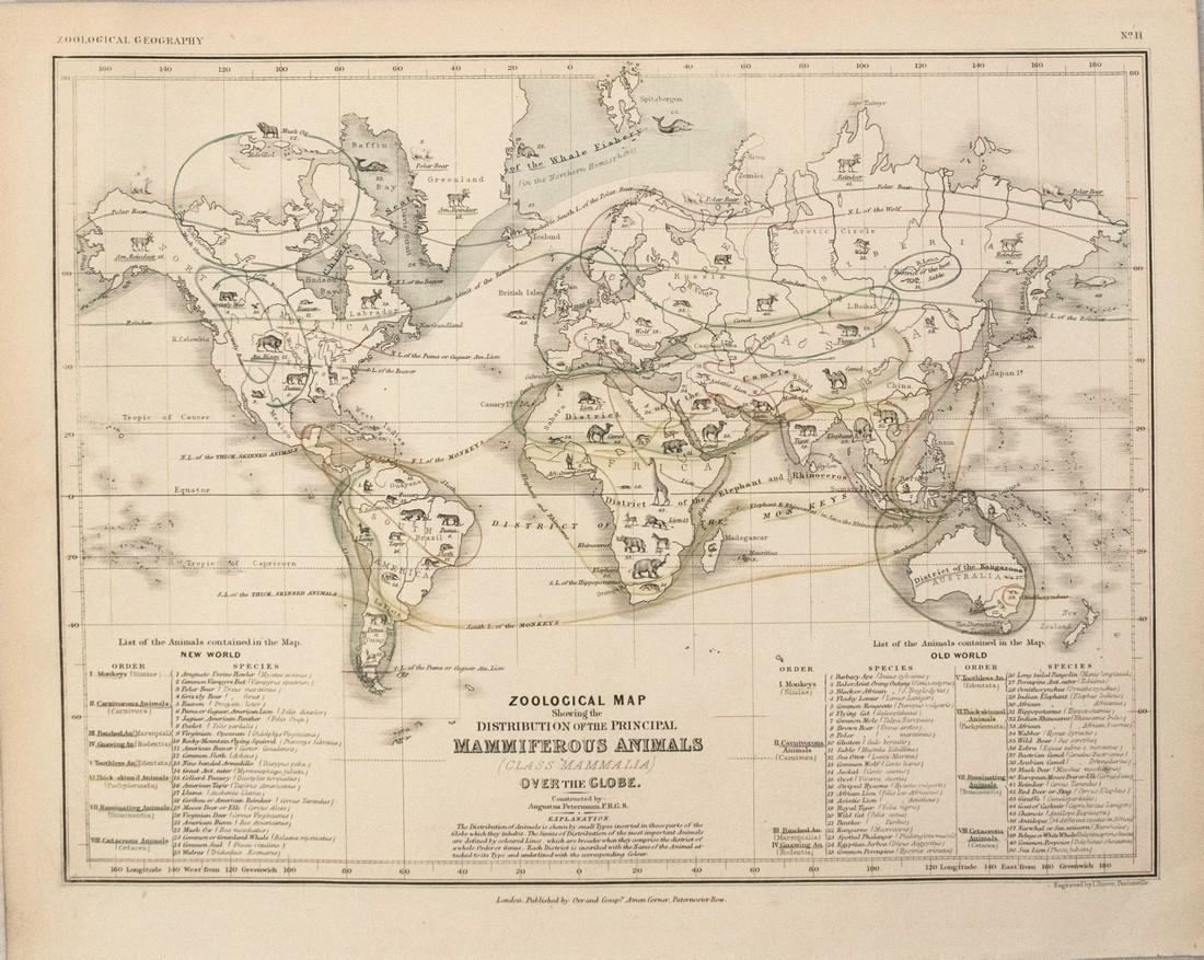 1850 Petermann Map of the Distribution of Mammals (1 of 1)
