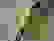 item-73729151=4