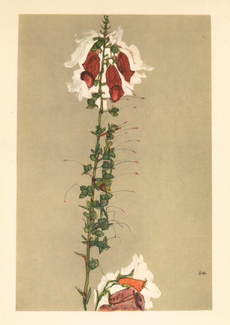 Egon Schiele "Lady's Glove" (1 of 1)