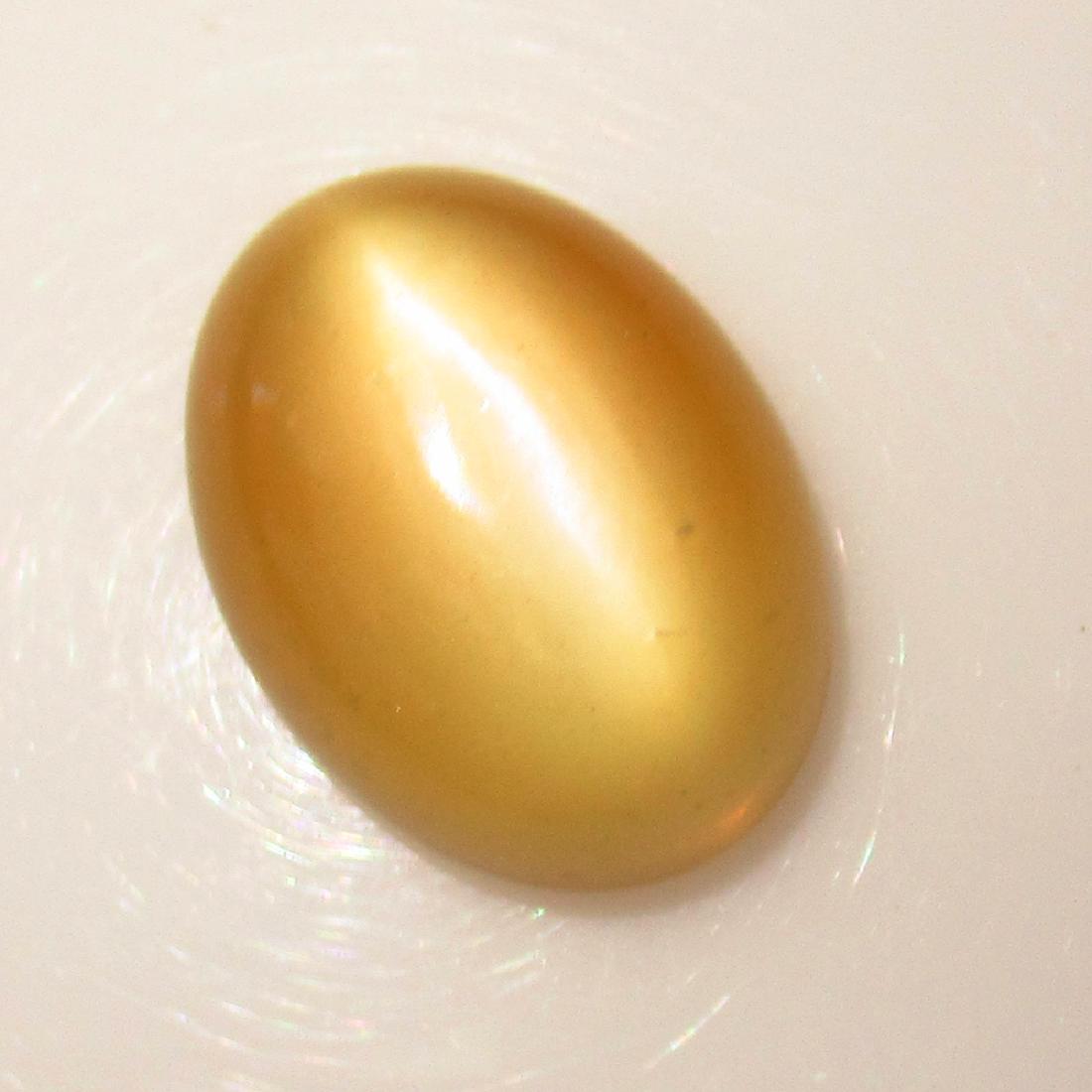 16.57 Ct Genuine Moonstone Catseye 20.5X15 mm Oval: No Reserve! Title: 16.57 Ct Genuine Moonstone Catseye 20.5X15 mm Oval Stone Clarity: Transparent Gemstones: Natural Moonstone Catseye Carat Weights: 16.57 Size/Dimensions: 20.40 x 15.10 x 7.40 mm Addi