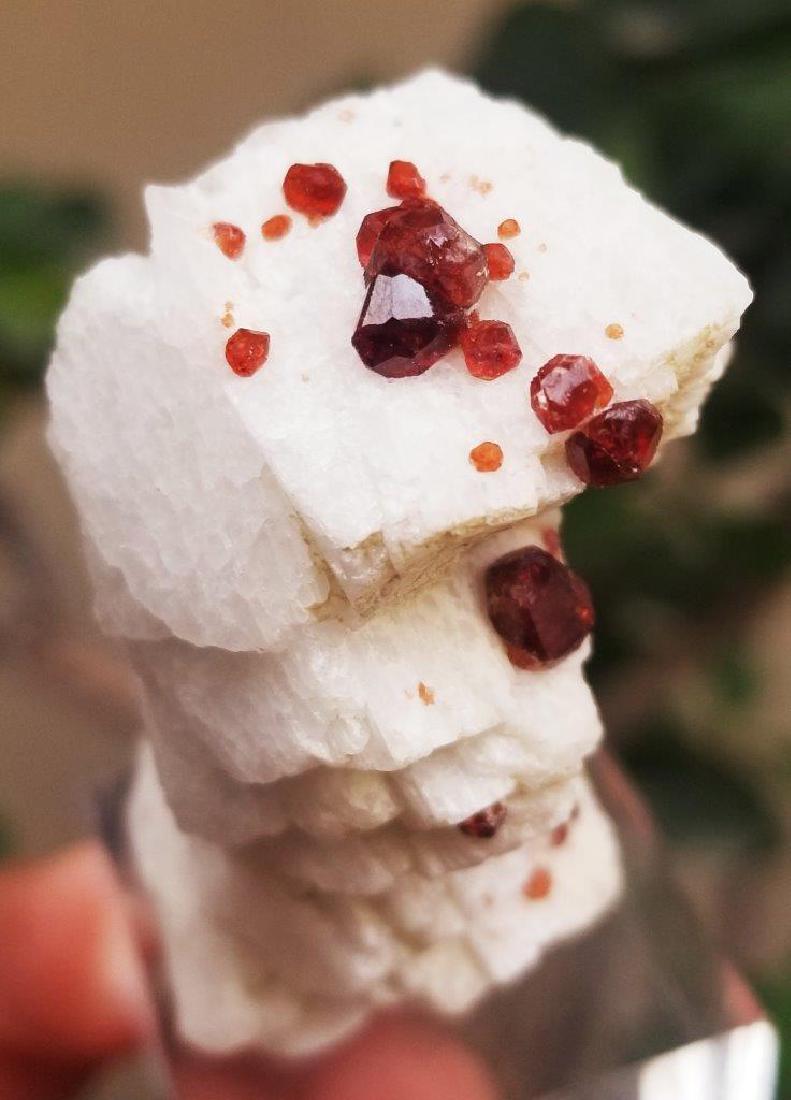 181 Carats Supreme Quality Hessonite Garnet Combined: Title: 181 Carats Supreme Quality Hessonite Garnet Combined With Mica Origin: AFGHANISTAN Reserve: $25.00 Shipping: Domestic: Flat-rate of $23.00 to anywhere within the contiguous U.S. International: