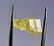 Natural & Unheated~ Yellow Beryl Heliodor Rough - 9