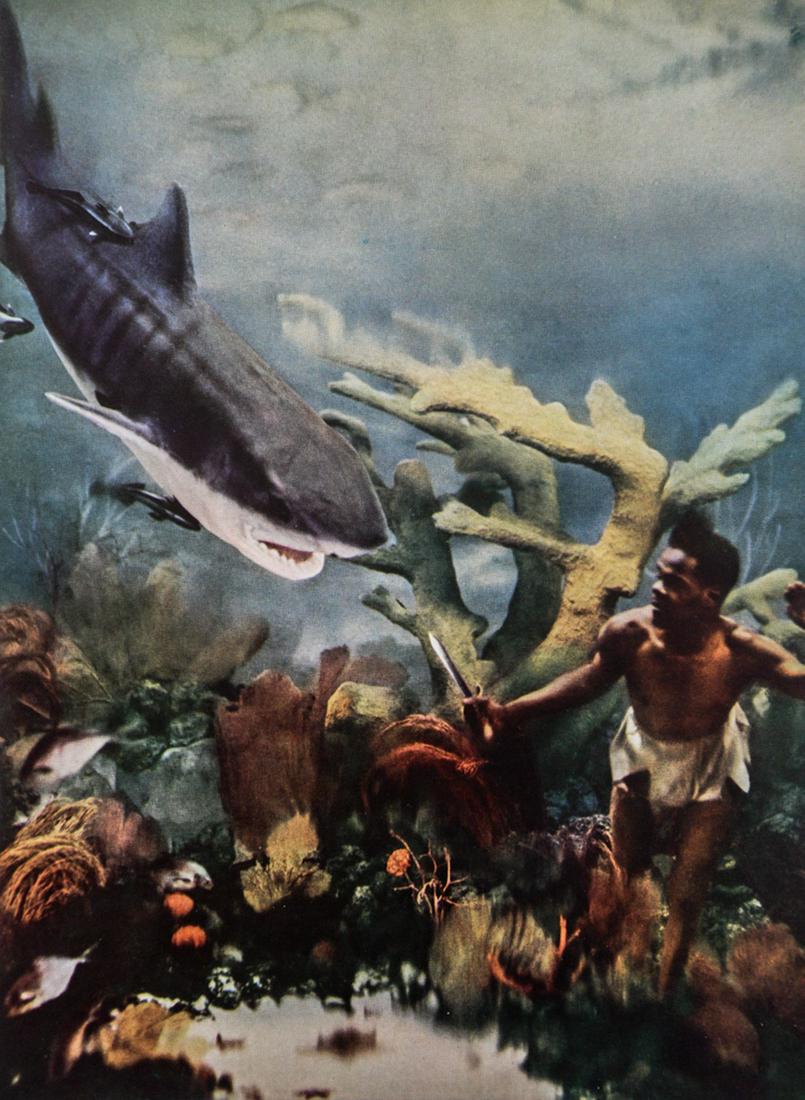 JOHN PAUL PENNEBAKER - Diver and Shark: Artist: John Paul Pennebaker Title: Diver and Shark Medium: Color Sheet Fed Gravure, 1938, USA Dimensions: 8.25x11.25" Heat Wax Mounted on 12x16" Conservation Board Reserve: $40.00 Shipping: Domestic: