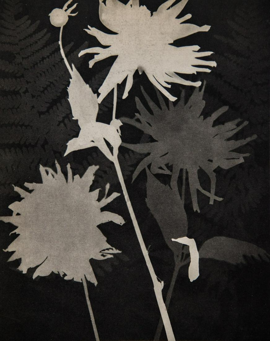 MAN RAY - Rayograph Flowers: Artist: Man Ray Title: Rayograph Flowers Medium: Sheet Fed Gravure, 1934, France Dimensions: 7.8x9.9" Heat Wax Mounted on 12x16" Conservation Board Man Ray, original name Emmanuel Radnitzky, was born 