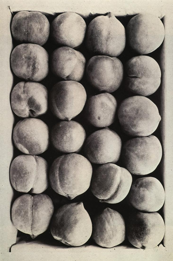 CARLETON E. WATKINS - Cling Peaches, Kern County: Artist: Carleton E. Watkins Title: Cling Peaches, Kern County, California, 1889 Medium: Photo Litho, 1980, Japan Dimensions: 5.45x8.2" Heat Wax Mounted on 8.5x11" Conservation Board Carleton Watkins (