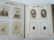1871 BIBLE antique MASSIVE FOLIO ILLUSTRATED AMERICANA - 11
