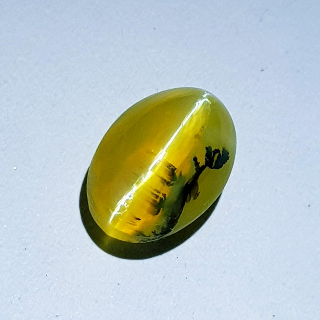 4.80 ct Natural Opal Cat's Eye: No Reserve! Title: 4.80 ct Natural Opal Cat's Eye Color/Clarity: Semi Transparent Gemstones: Loosegemstone Carat Weights: 4.8 Size/Dimensions: 12.10 x 8.60 x 7.90 Additional Information: Oval - Africa