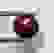 item-74102729=2
