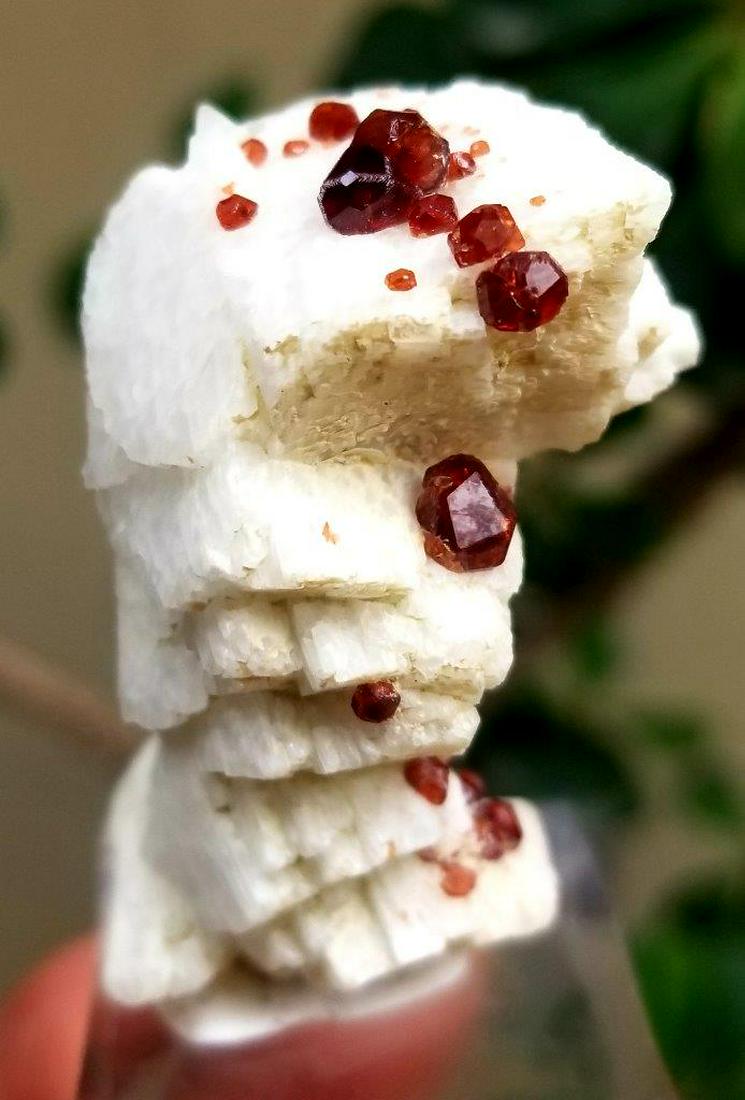 181 Carats Supreme Quality Hessonite Garnet Combined: Description: 181 Carats Supreme Quality Hessonite Garnet Combined With Mica Origin: Afghanistan Reserve: $30.00 Shipping: Domestic: Flat-rate of $23.00 to anywhere within the contiguous U.S. Internati