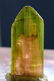 Double Terminated & Undamaged Bi Color Watermelon - 6