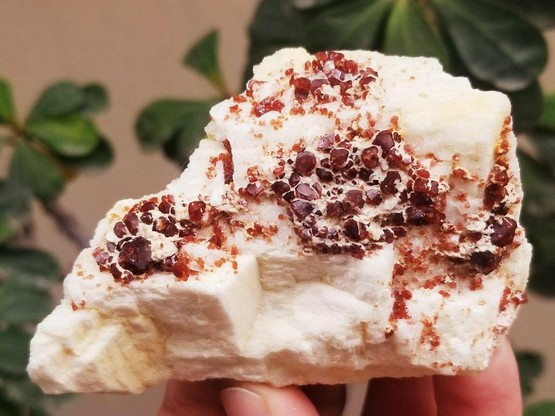 662.5 Carats Supreme Quality Hessonite Garnet Combined: Title: 662.5 Carats Supreme Quality Hessonite Garnet Combined With Mica Origin: afghanistan Reserve: $25.00 Shipping: Domestic: Flat-rate of $23.00 to anywhere within the contiguous U.S. International