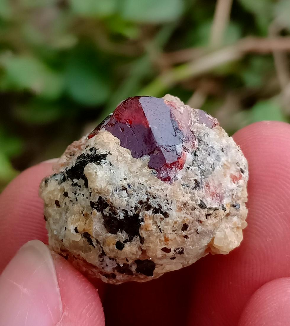 13 Gram Top Natural Zircon Specimen: Title: 13 Gram Top Natural Zircon Specimen Treatment: Natural Gemstone: Zircon Weight: 13 Gram Reserve: $8.00 Shipping: Domestic: Flat-rate of $18.00 to anywhere within the contiguous U.S. Internation