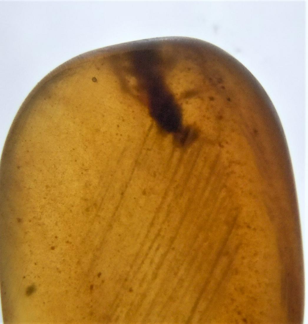 100 MILL YEARS OLD BURMITE AMBER - WITH INSECT: Title: 100 MILL YEARS OLD BURMITE AMBER - WITH INSECT INCLUSION Origin: Hukawang Valley, Kachin State, Myanmar Size: 1.5x1x0.5 cm / 0.56 gram Description: dark yellow burmite amber with insect inclusi