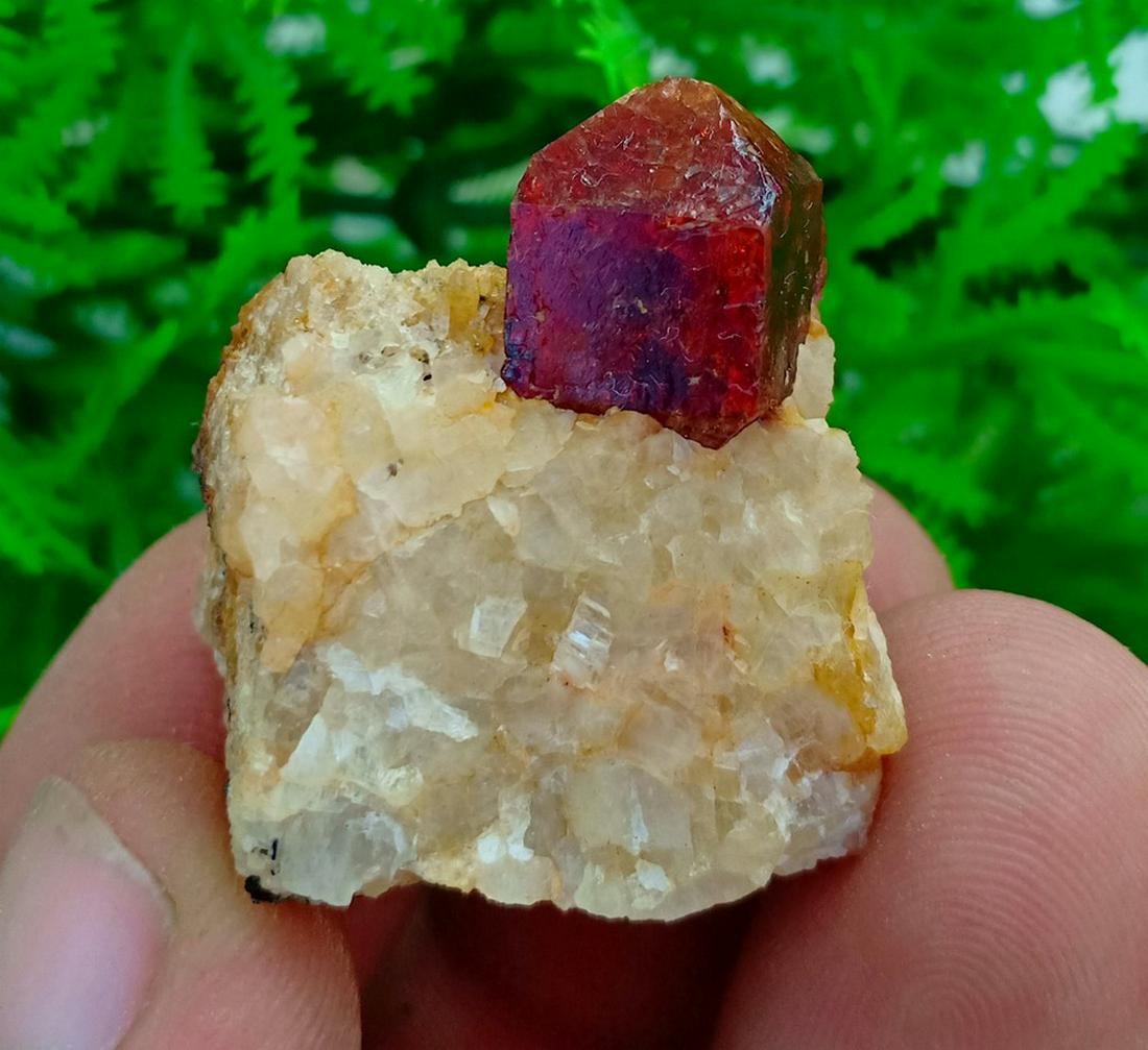 21 Gram Umdamage Zircon Specimen: No Reserve! Title: 21 Gram Umdamage Zircon Specimen Origin: Pakistan Weight: 21 Gram Size/Dimensions: 30x22x16 mm Description: Specimen Shipping: Domestic: Flat-rate of $16.00 to anywhere within the c