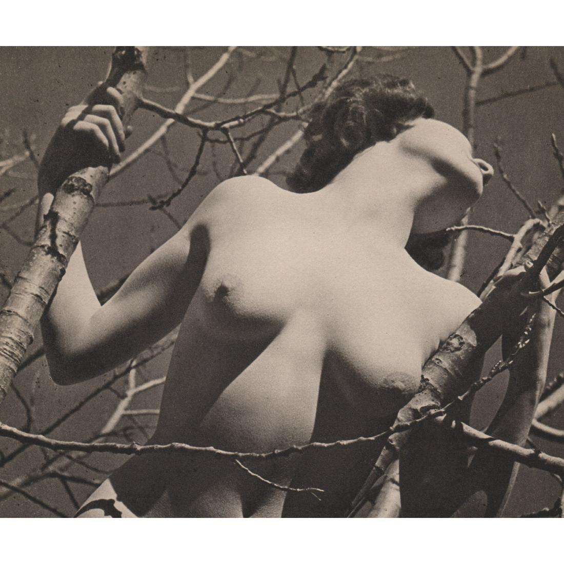 STEPHEN DEUTCH - Nude: Artist: STEPHEN DEUTCH Print Title: Nude Medium: Sheet-fed Gravure Printing Date: 1930's Printed in the USA Image Size: 8 X 7 inches Stephen Deutch is one of the few photographers who succeeded in the