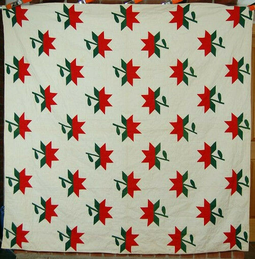 1870's Vintage Turkey Red & Green Applique Peony (1 of 8)