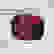 item-74550343=1