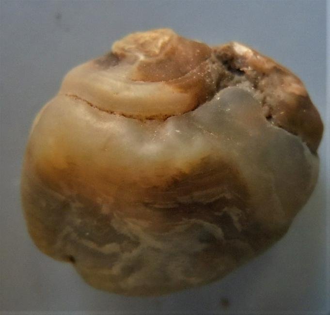 EYE AGATE - 100 % NATURAL: Title: EYE AGATE - 100 % NATURAL Origin: Alashan Area, Gobi Desert, Inner Mongolia, China Size: 2.3x1.9x1.3 cm / 8 gram Description: double eye agate. smooth with greenish color. Reserve: $5.00 Shippi