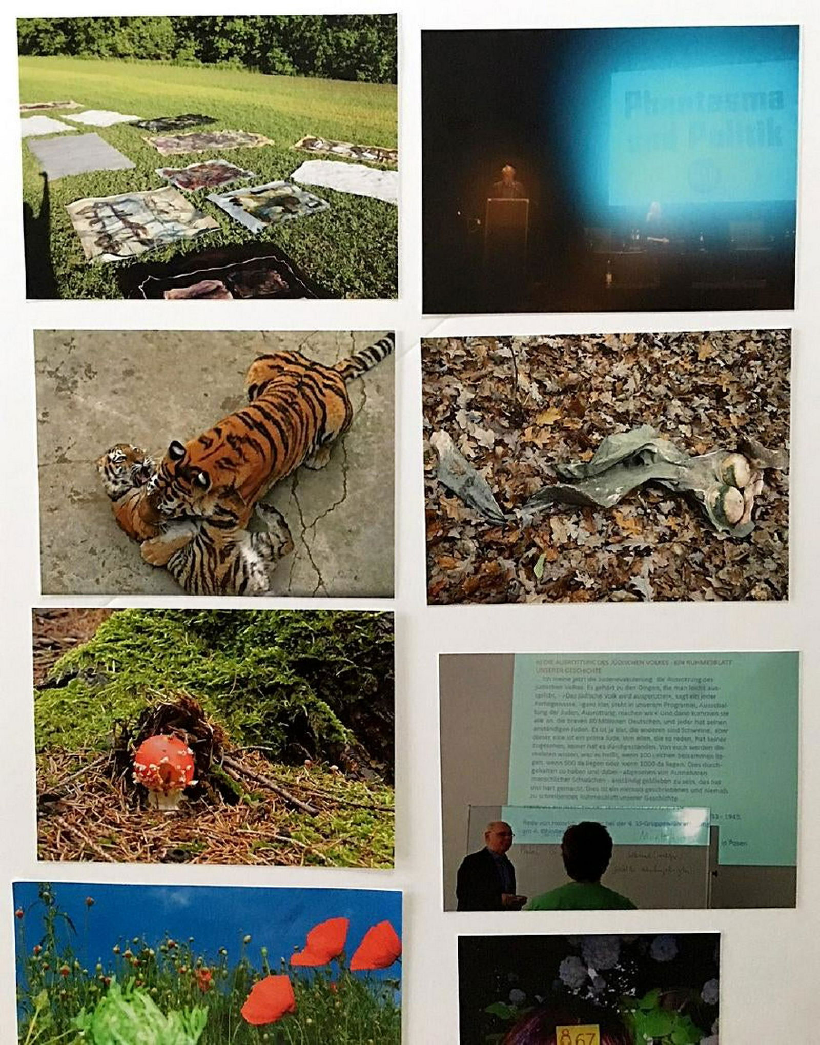 Michaela Eichwald, Ten Top Photographs 2015: Artist:Michaela Eichwald Title: Ten Top Photographs 2015 Medium: Series of 10 inkjet prints Dimensions: 5" x 7" and 5" x 7 1/2" Description: Signed and numbered certificate ed. 100 Reserve: $400.00 Sh