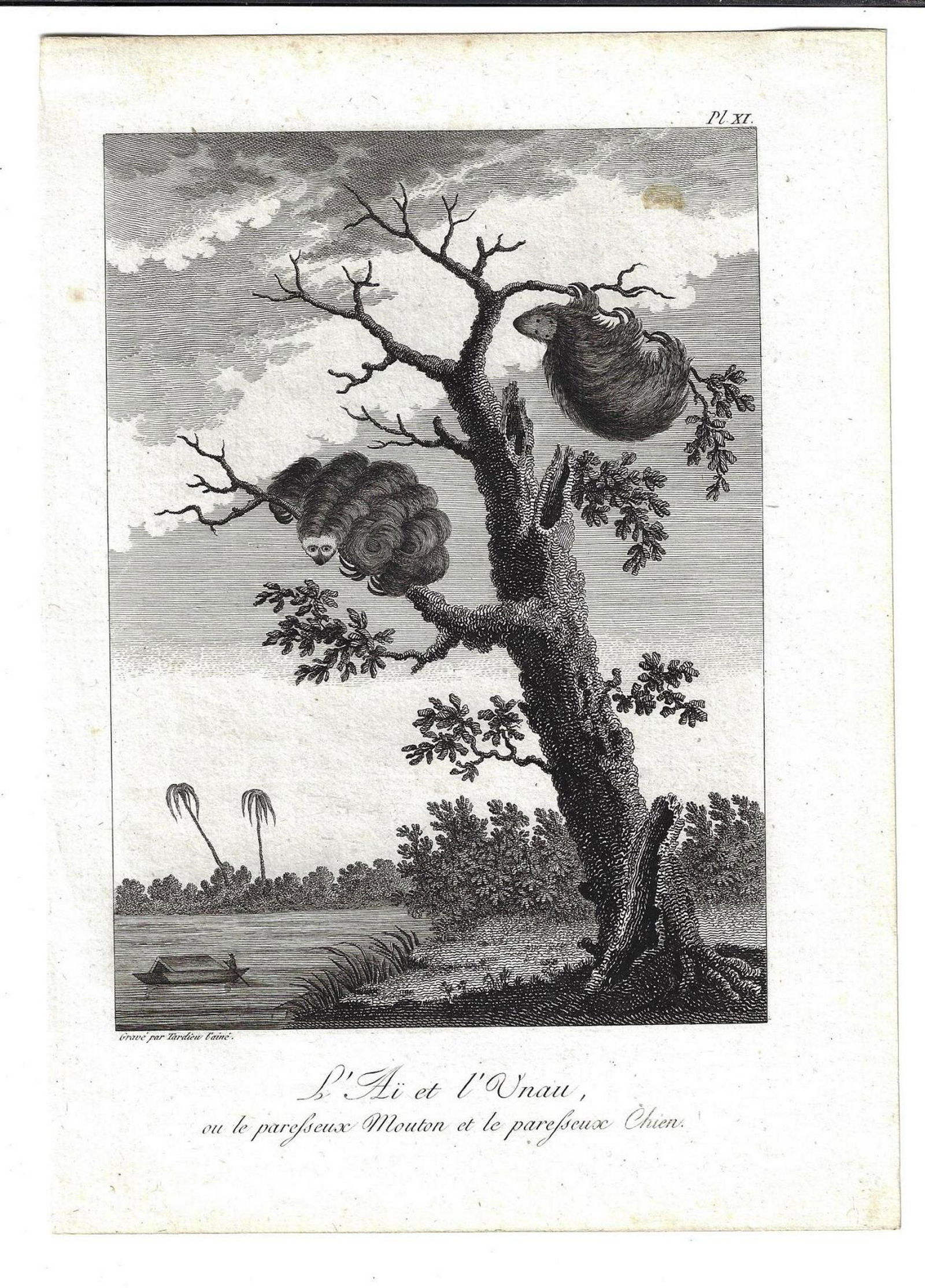 1799 Tardieu Engraving Stedman Surinam (1 of 1)