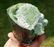 534 Gram Double Terminated Blue Cap Tourmaline Crystal - 10