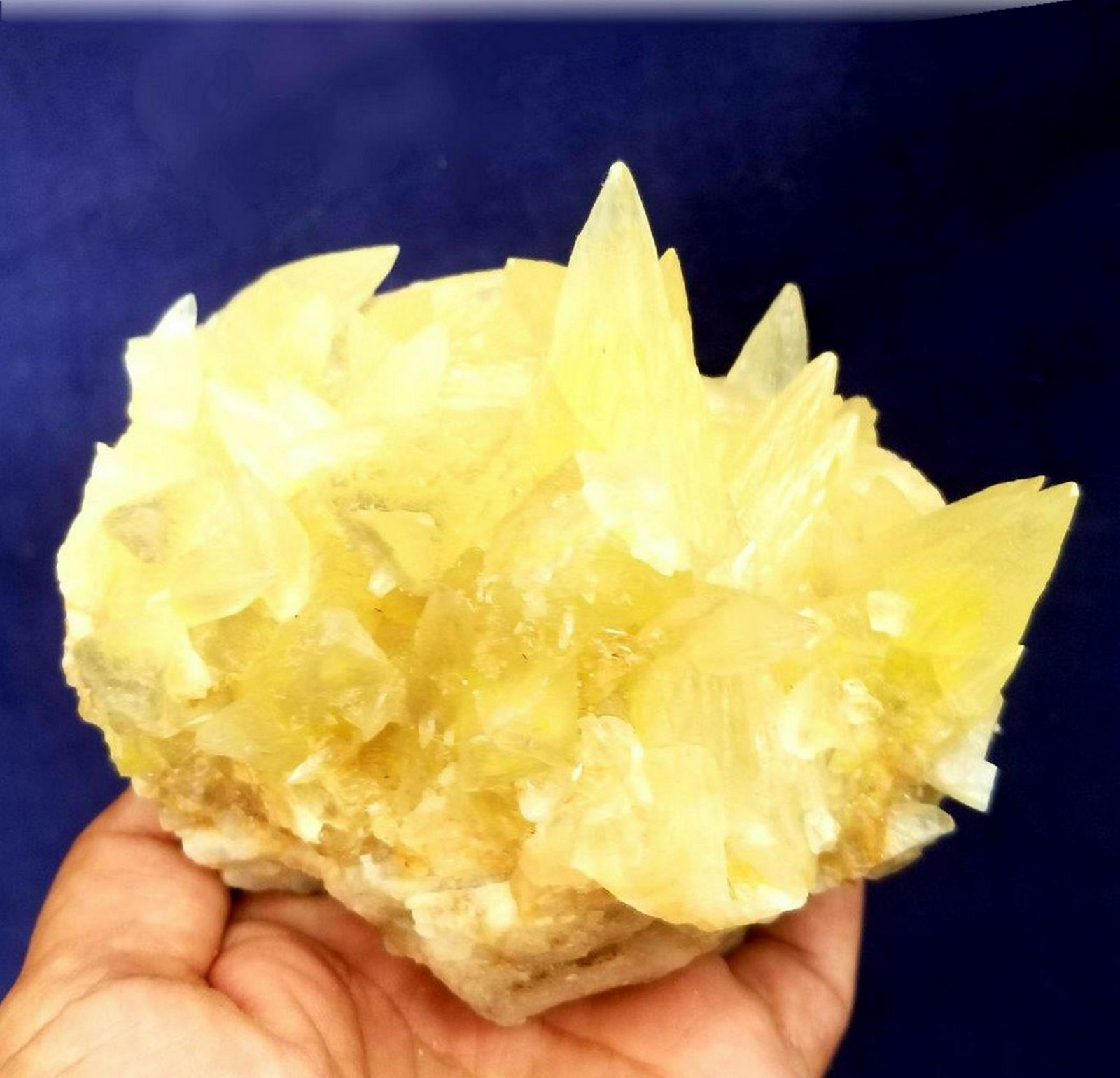 819.4 Grams Supreme Quality Dog Teeth Calcite: Title: 819.4 Grams Supreme Quality Dog Teeth Calcite Termianted Crystals Origin: Afghanistan Reserve: $45.00 Shipping: Domestic: Flat-rate of $33.00 to anywhere within the contiguous U.S. Internationa
