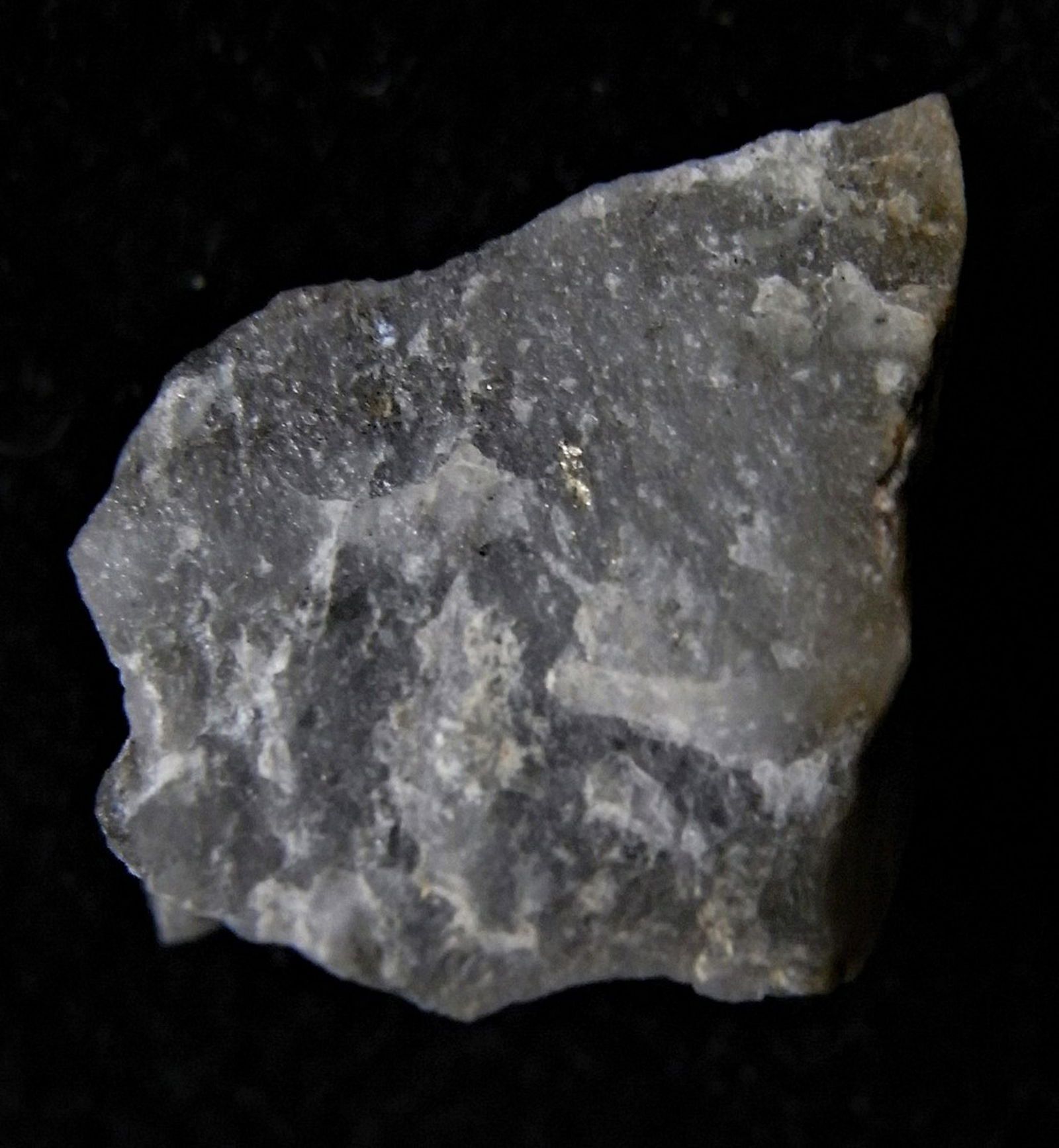 GOLD ORE FROM MOTHER LODE VEIN: Title: GOLD ORE FROM MOTHER LODE VEIN Origin: Gango, Libona, Bukidnon, Mindanao, Philippines Size: 1.4x1x1 cm / 1.92 gram Description: grey, crystalline quartz with some brassy pyrite and silvery gale