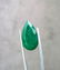 Emerald Certified - 5.76 ct - 3
