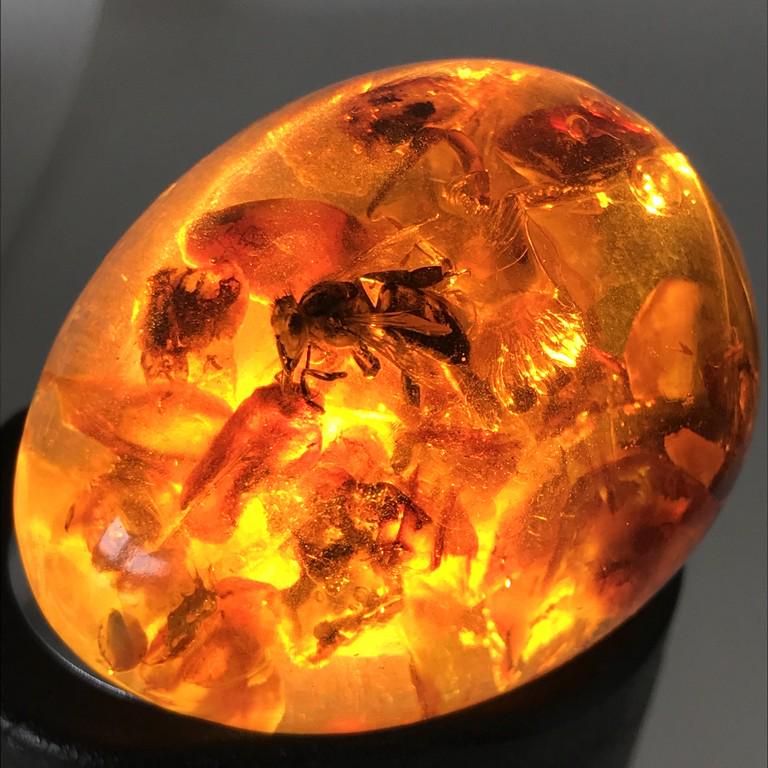 Amber egg with bee insect inclusion + stand (1 of 10)