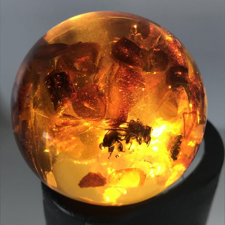 103g amber ball with bee insect inclusion + stand (1 of 10)