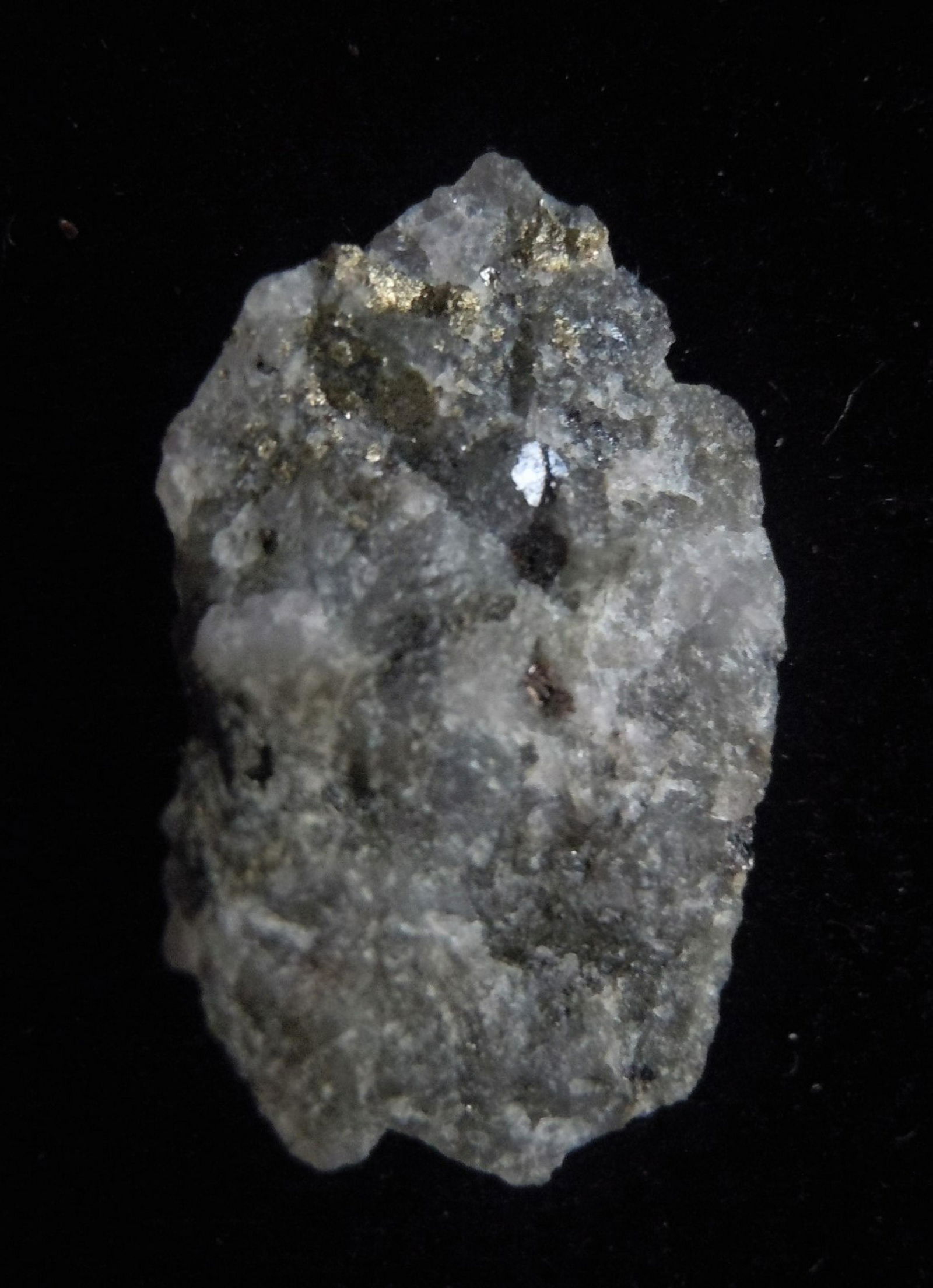 GOLD ORE FROM MOTHER LODE VEIN: Title: GOLD ORE FROM MOTHER LODE VEIN Origin: Gango, Libona, Bukidnon, Mindanao, Philippines Size: 1.6x0.9x0.35 cm / 0.62 gram Description: dark grey, crystalline quartz with crystalline galena and py