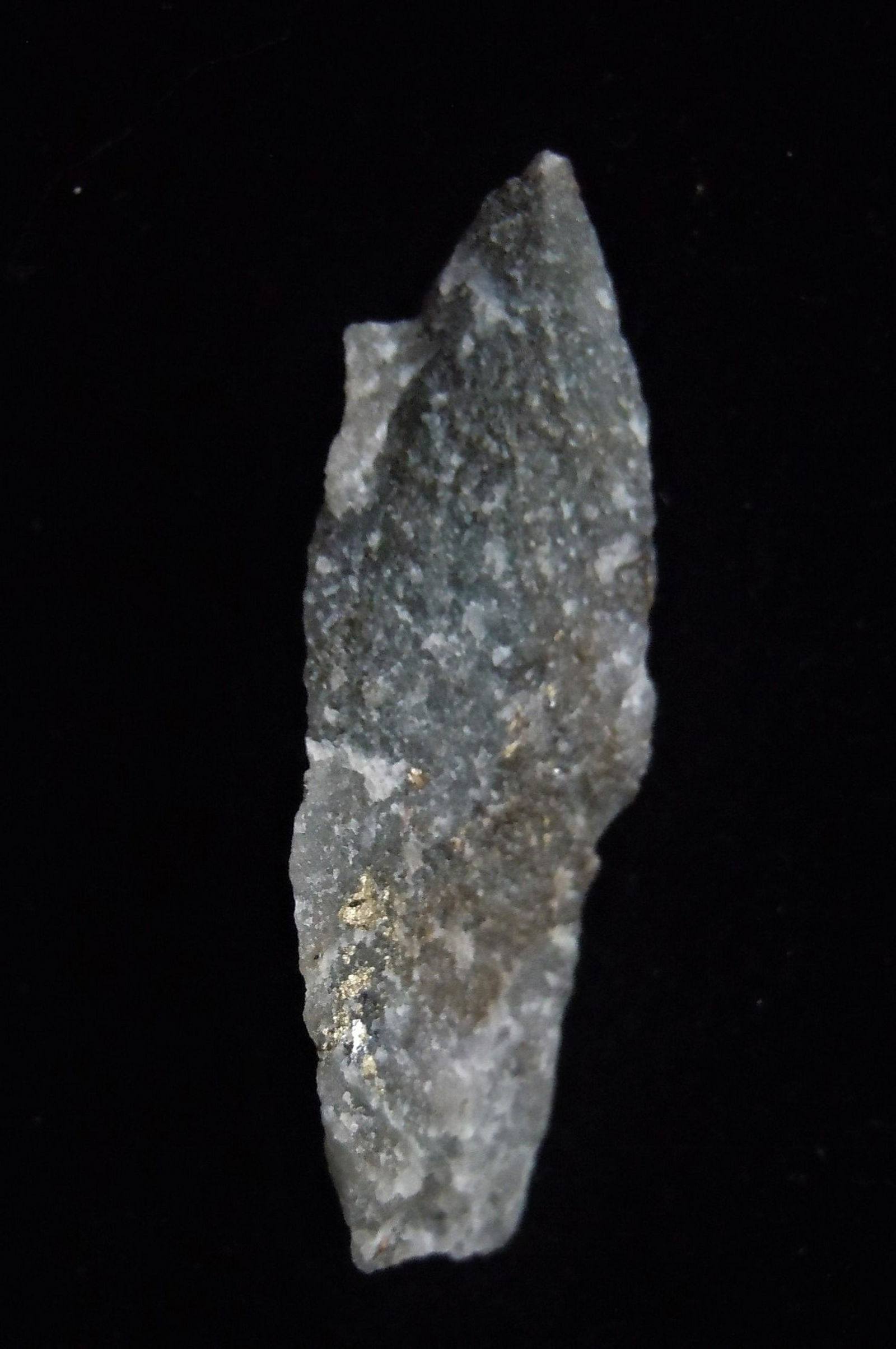 GOLD ORE FROM MOTHER LODE VEIN: Title: GOLD ORE FROM MOTHER LODE VEIN Origin: Gango, Libona, Bukidnon, Mindanao, Philippines Size: 2.6x0.8x0.5 cm / 1.22 gram Description: grey, crystalline quartz with some brassy pyrite Reserve: $6.