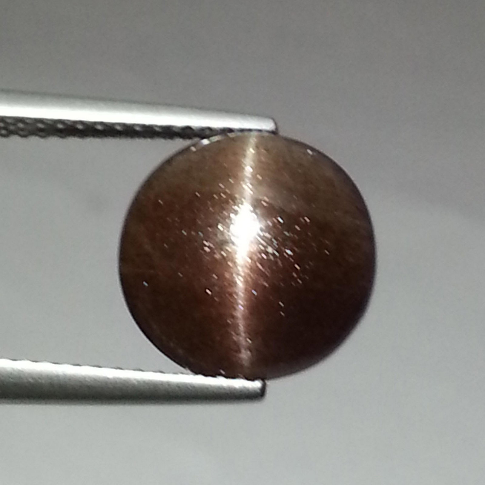 4.55 ct Natural Sillimanite Cat's Eye: No Reserve! Title: 4.55 ct Natural Sillimanite Cat's Eye Color/Clarity: OpaqueLoosegemstone Carat Weights: 4.55 Size/Dimensions: 11.10 x 11.10 x 4.95 Round - Africa Shipping: Worldwide: Flat-rate of $