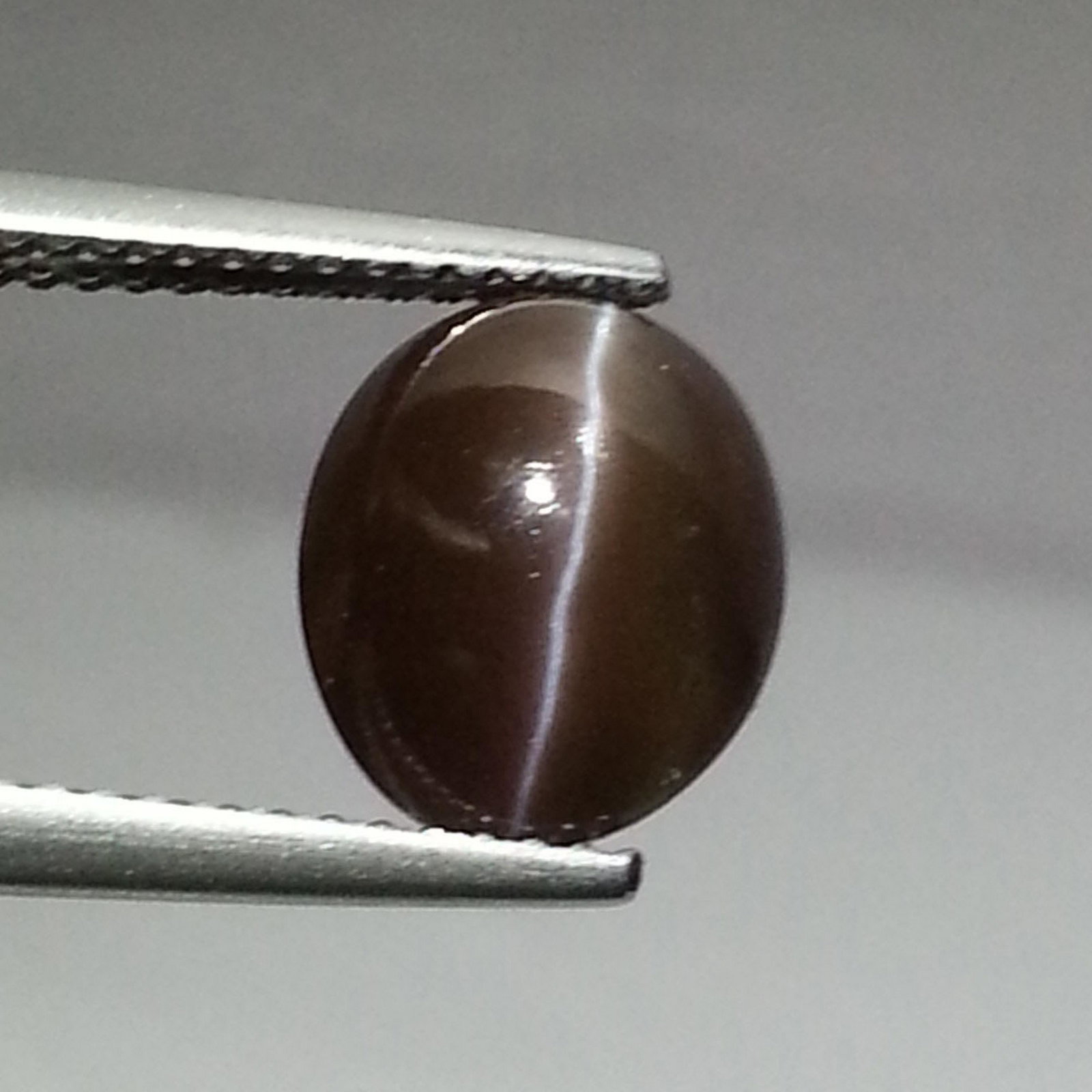 3.65 ct Natural Sillimanite Cat's Eye: No Reserve! Title: 3.65 ct Natural Sillimanite Cat's Eye Color/Clarity: OpaqueLoosegemstone Carat Weights: 3.65 Size/Dimensions: 10.35 x 8.60 x 5.75 Oval - Africa Shipping: Worldwide: Flat-rate of $10