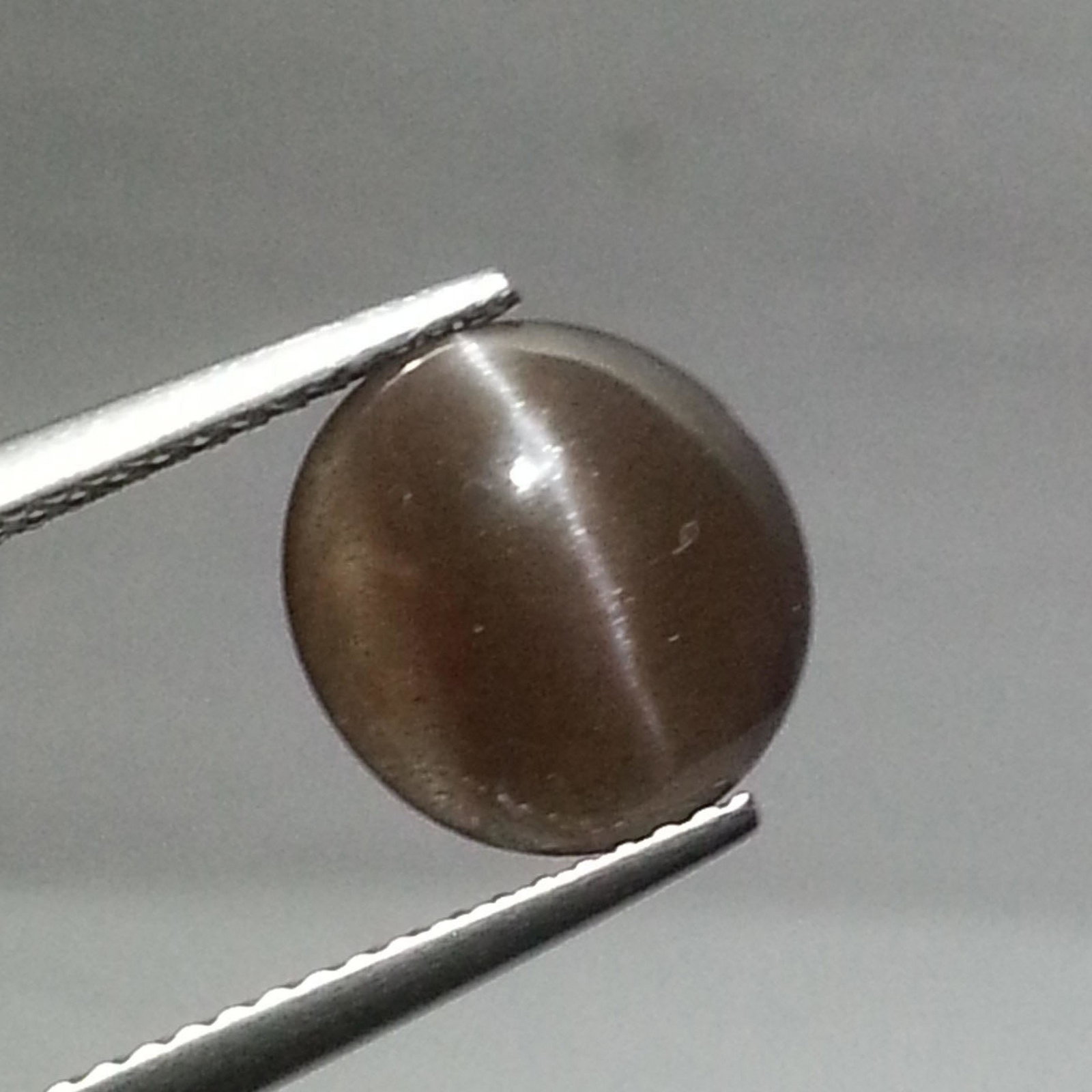 2.90 ct Natural Sillimanite Cat's Eye: No Reserve! Title: 2.90 ct Natural Sillimanite Cat's Eye Color/Clarity: OpaqueLoosegemstone Carat Weights: 2.9 Size/Dimensions: 10.55 x 10.55 x 4.10 Round - Africa Shipping: Worldwide: Flat-rate of $1