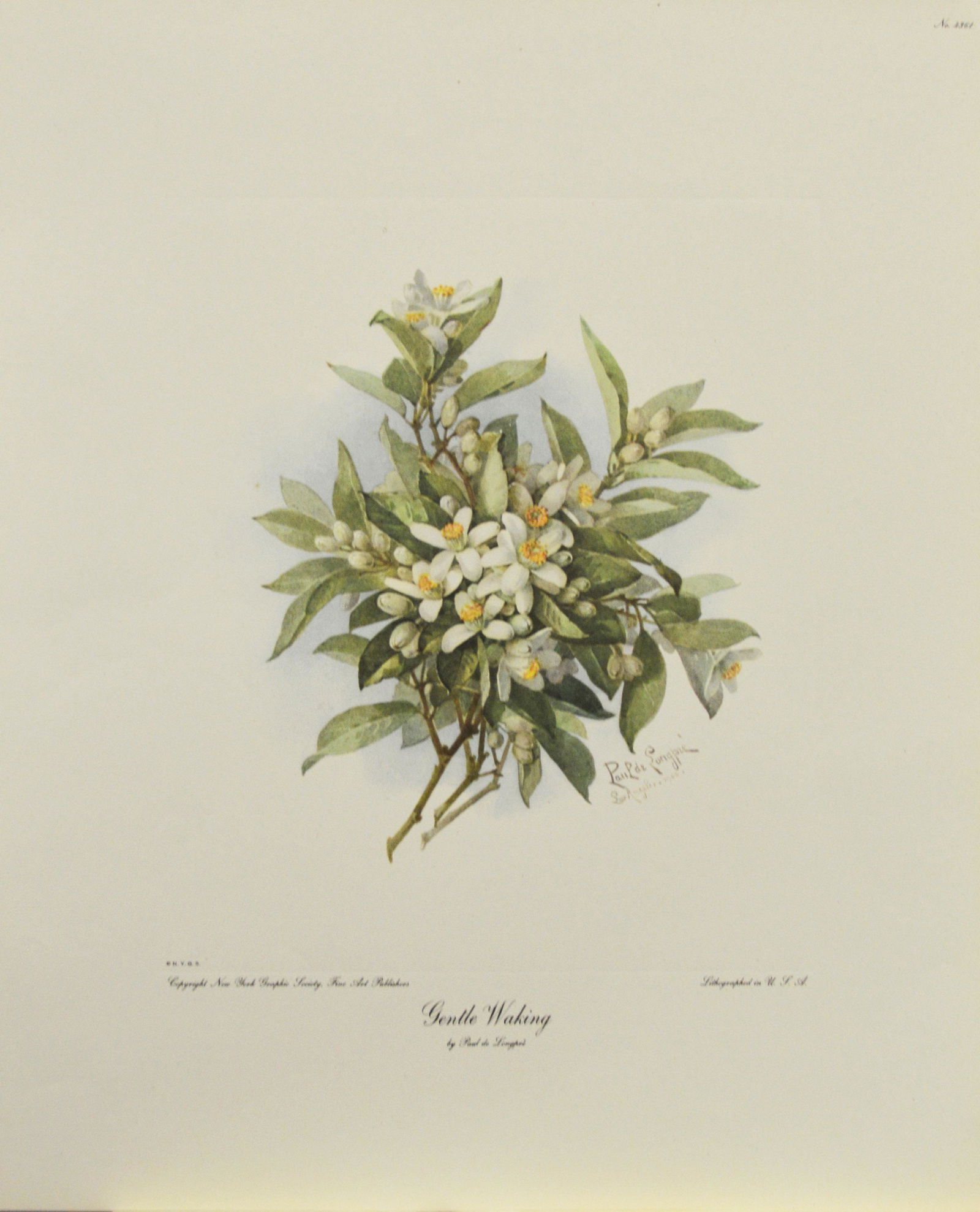 "Gentle Waking," by Paul de Longpré (1 of 5)