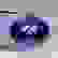 item-75302818=1