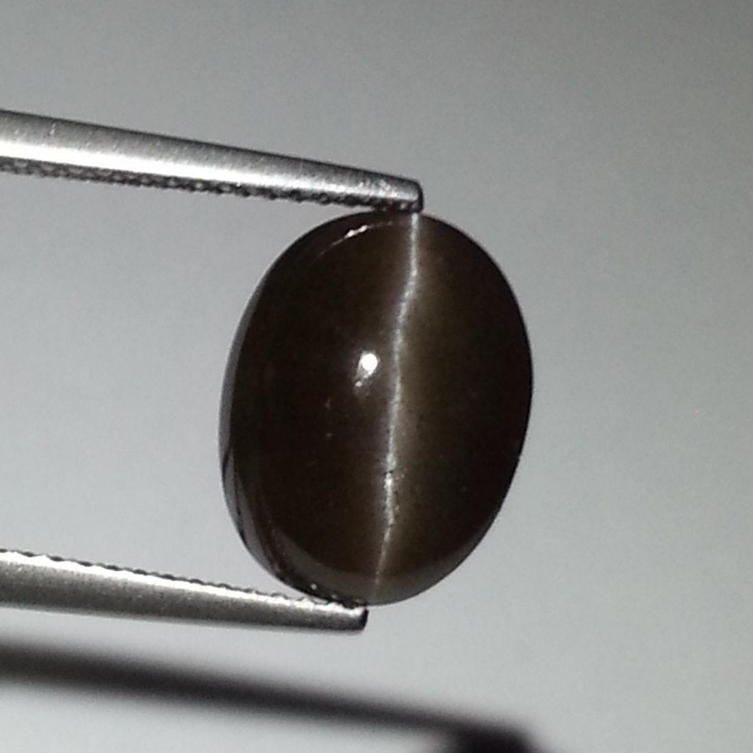 Natural Scapolite Cat's Eye 7.00 ct: No Reserve! Title: Natural Scapolite Cat's Eye 7.00 ct Color/Clarity: Opaque Gemstones: Loosegemstone Carat Weights: $7 Size/Dimensions: 12.40 x 9.62 x 7.82 Additional Information: Oval- Africa Shippi
