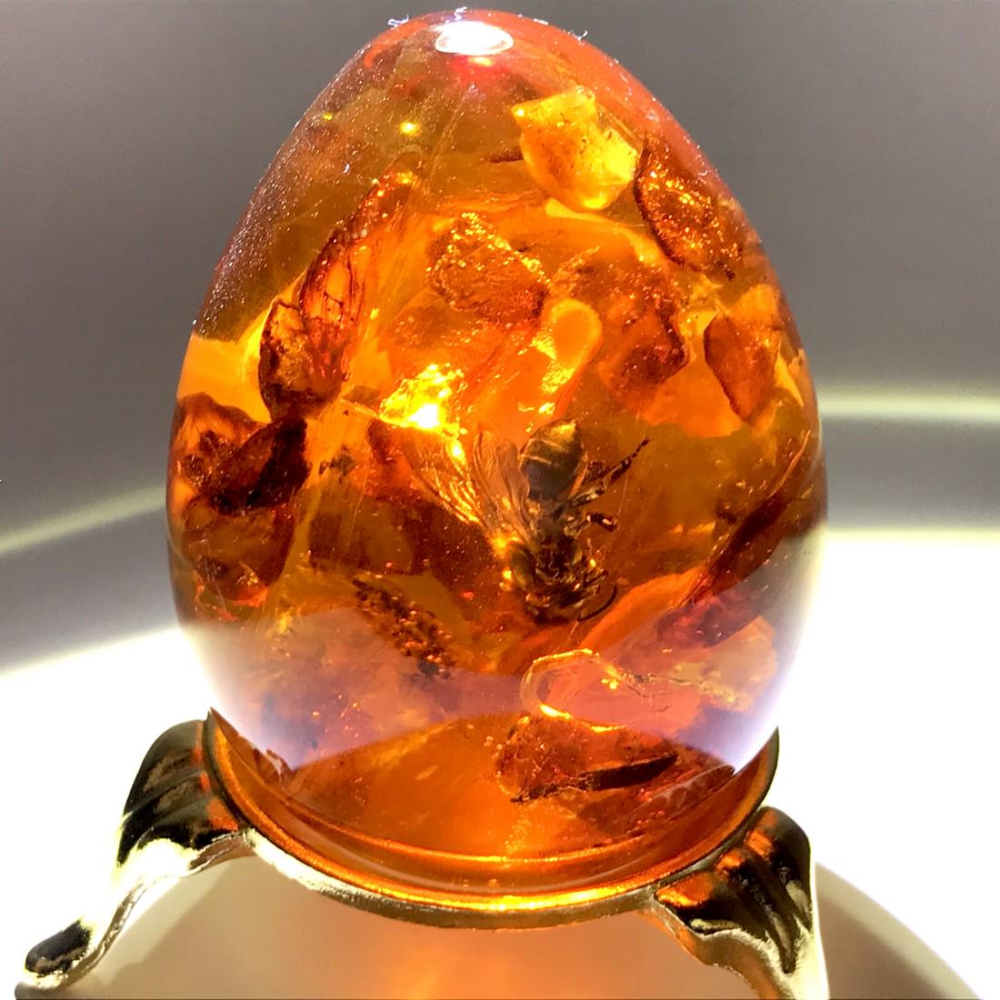 Amber egg with bee insect inclusion, on the stand (1 of 8)