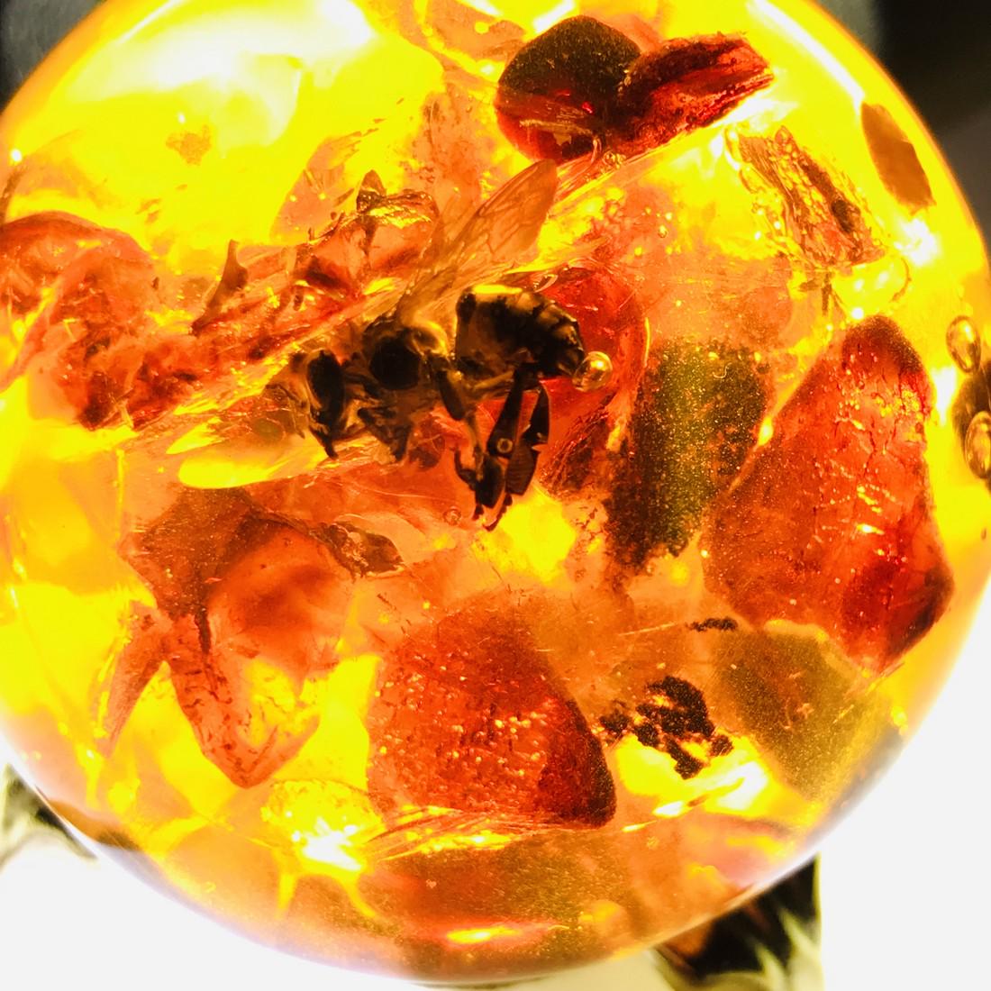 Amber ball with Bee insect inclusion, on the stand (1 of 10)